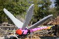 Kids_DFWzoo_3-2016 (96)